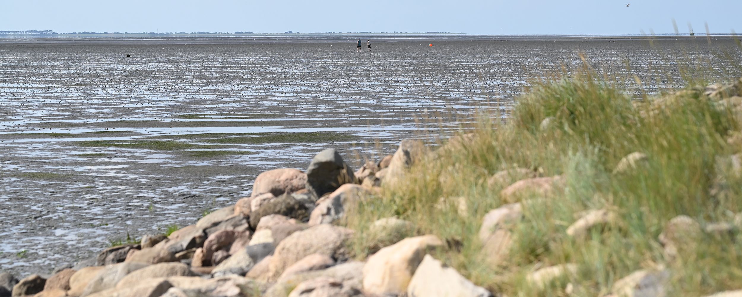Wattenmeer Büsumer Deichhausen