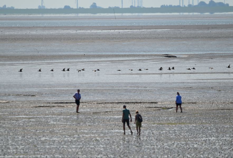 Wattenmeer