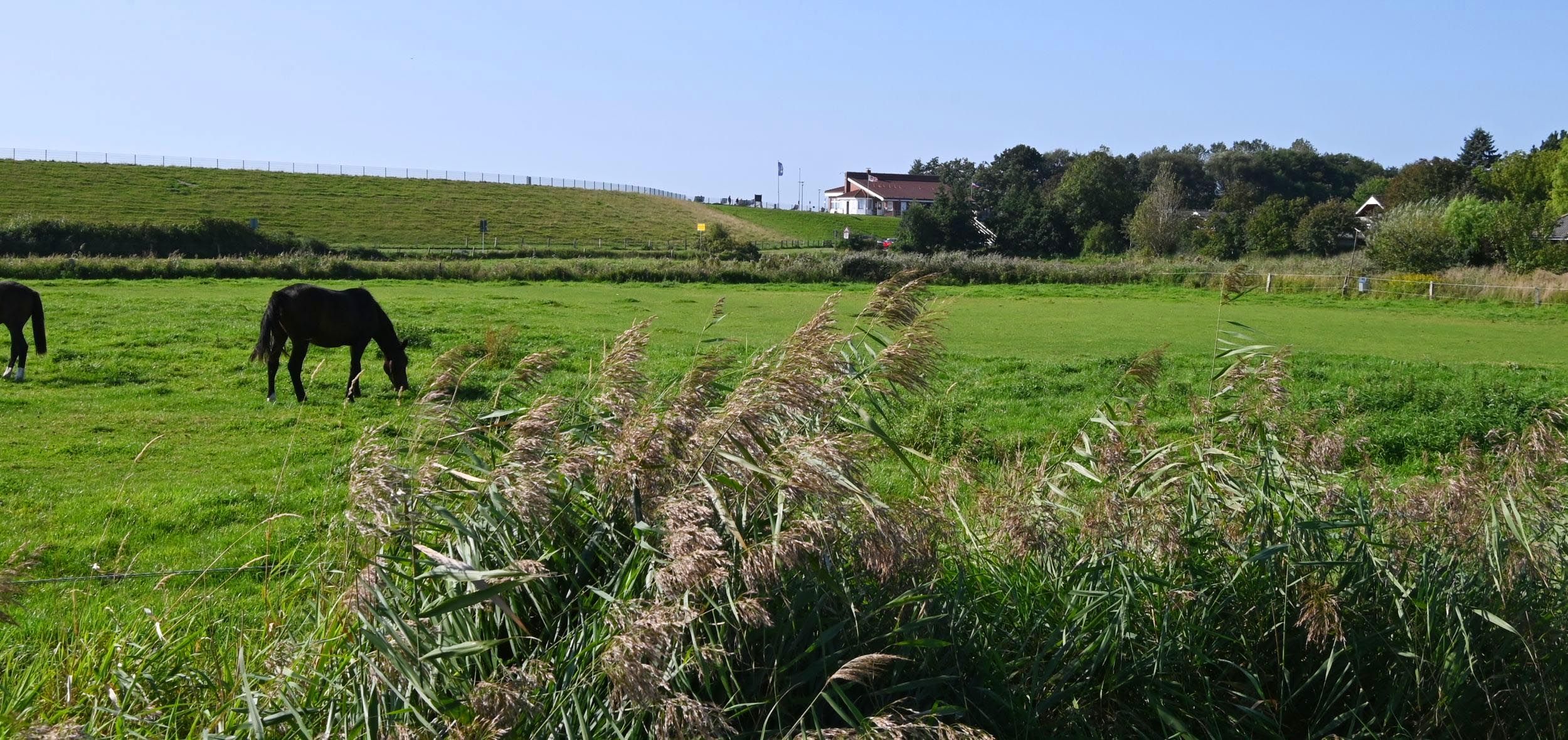 Land um Deichhausen
